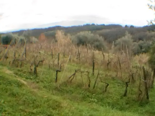 Rustico via Bocconi, Carignano, Lucca
