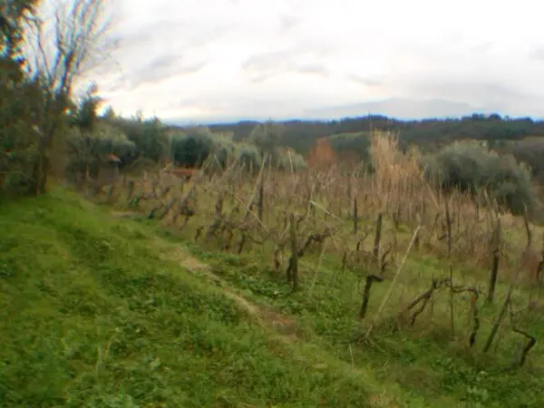 Rustico via Bocconi, Carignano, Lucca