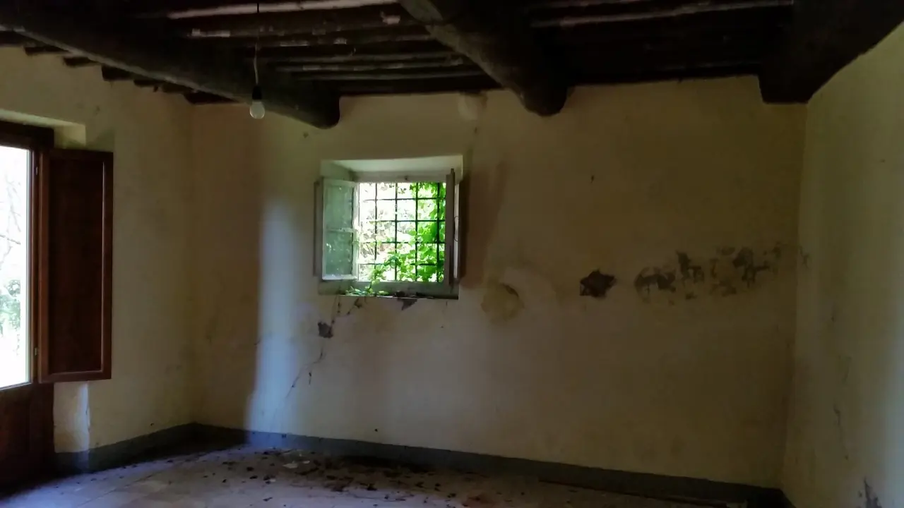 Immagine per Rustico in vendita a Lucca via Bocconi