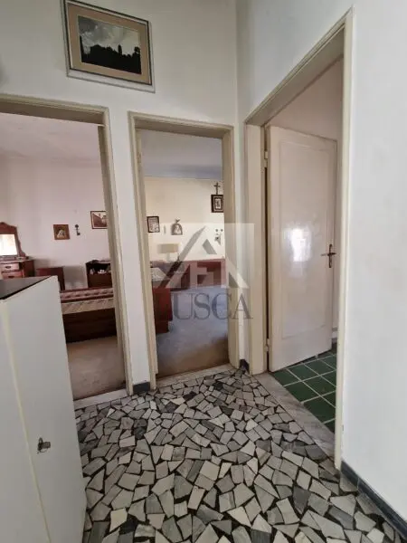 Villa Bifamiliare viale Lazzaro Papi, Sant'Anna, Lucca