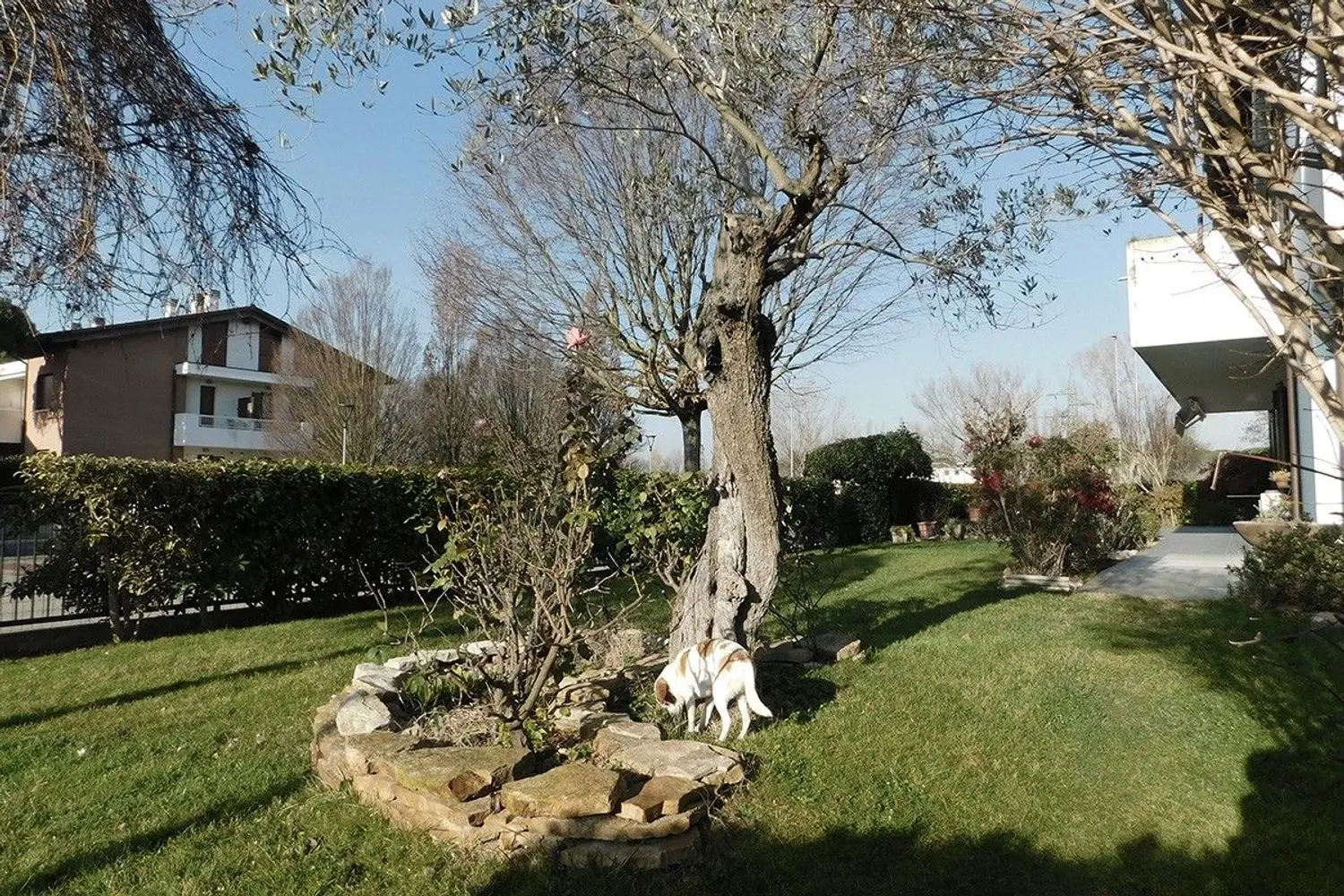Immagine per Appartamento in vendita a Cervia delle Camelie 