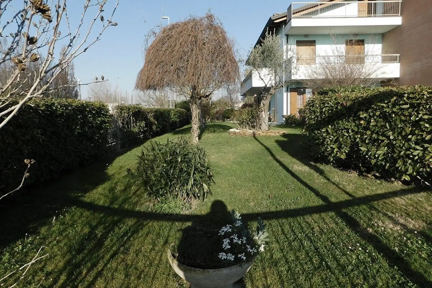 Immagine per Appartamento in vendita a Cervia delle Camelie 
