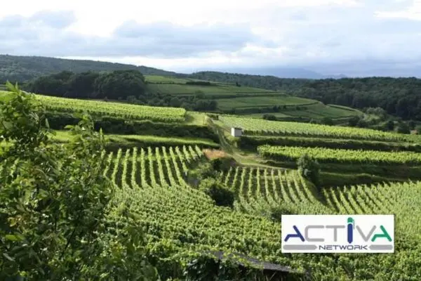 Attività Commerciale via Torino, Castiglione Torinese