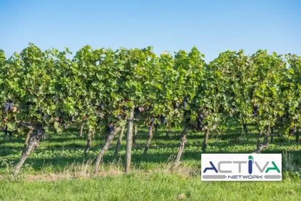 Attività Commerciale via Torino, Castiglione Torinese