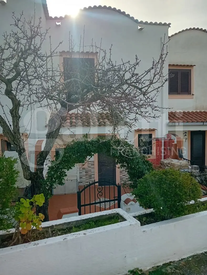 Immagine per Villetta a schiera in vendita a San Nicola Arcella via Dino 00