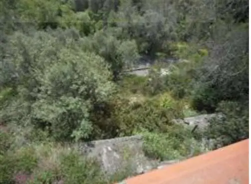 Villa strada Isolabona, Apricale