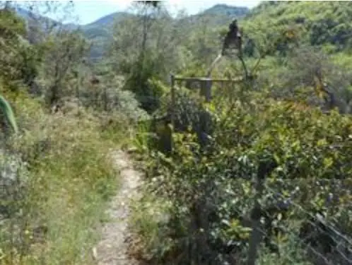 Villa strada Isolabona, Apricale