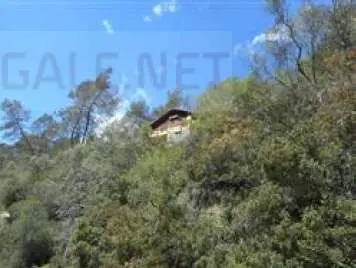 Casa Indipendente Apricale