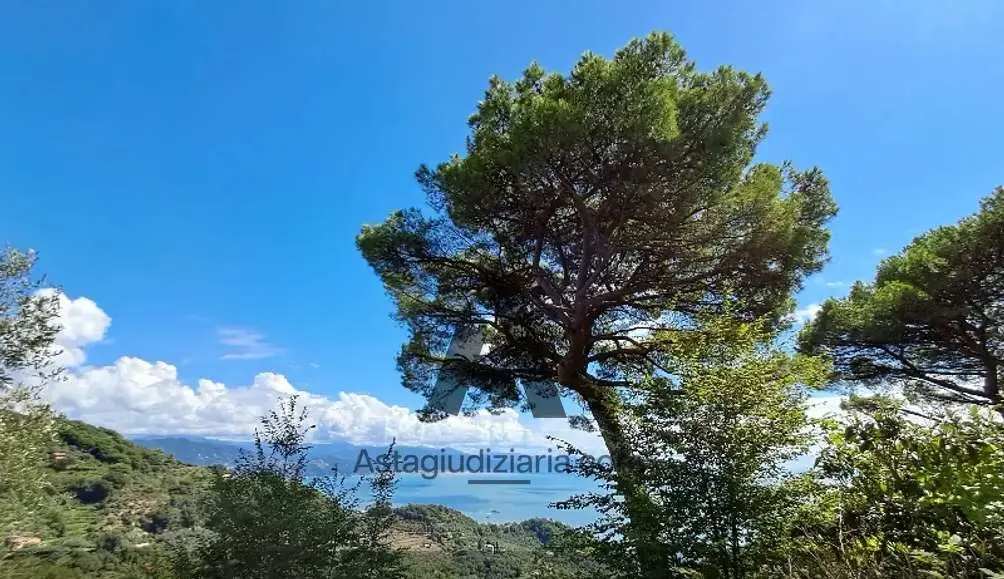 Immagine per Rustico in asta a Santa Margherita Ligure via Gave