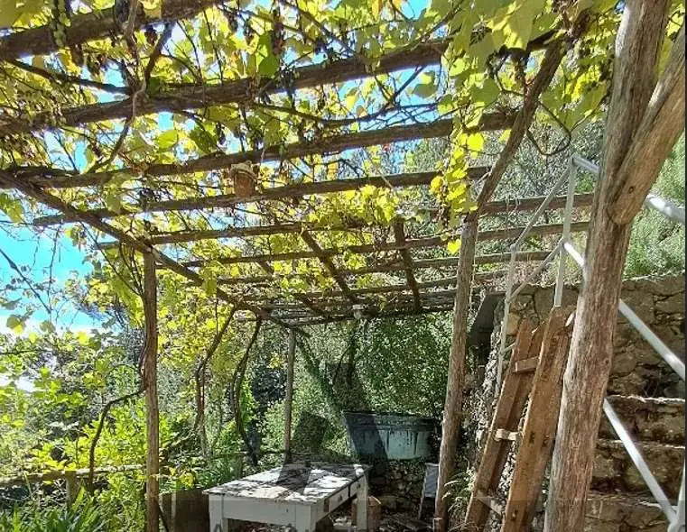 Immagine per Rustico in asta a Santa Margherita Ligure via Gave