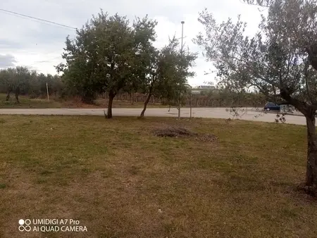 Rustico via Vecchia Scorciosa, Fossacesia