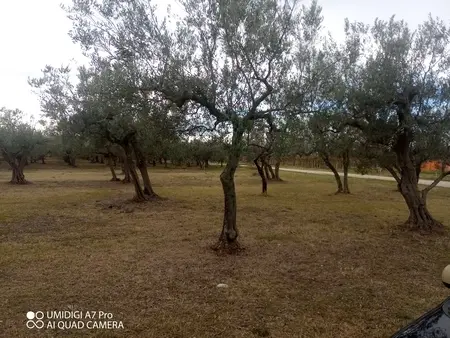 Rustico via Vecchia Scorciosa, Fossacesia