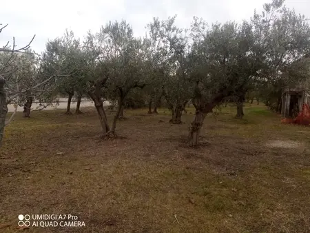 Rustico via Vecchia Scorciosa, Fossacesia