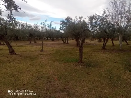 Rustico via Vecchia Scorciosa, Fossacesia