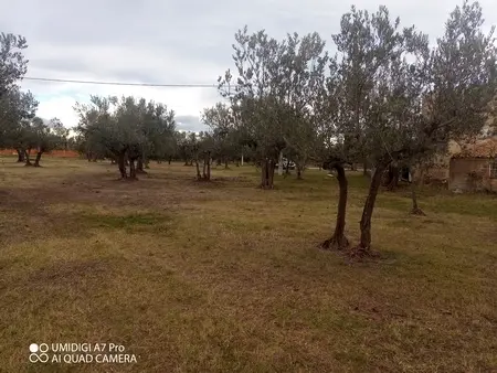 Rustico via Vecchia Scorciosa, Fossacesia