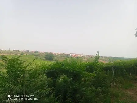 Vigneto Lanciano