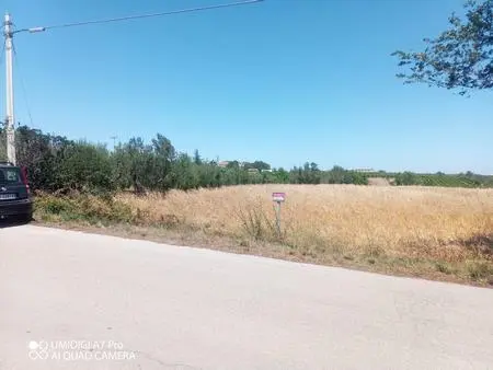 Immagine per Industriale in vendita a Lanciano via Cuna Re Di Coppe