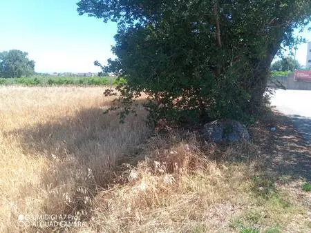 Immagine per Industriale in vendita a Lanciano via Cuna Re Di Coppe