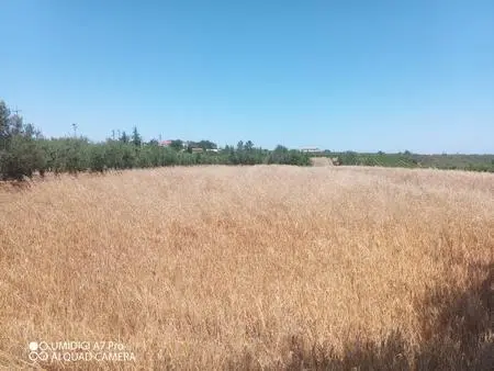 Immagine per Industriale in vendita a Lanciano via Cuna Re Di Coppe