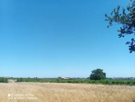 Immagine per Industriale in vendita a Lanciano via Cuna Re Di Coppe