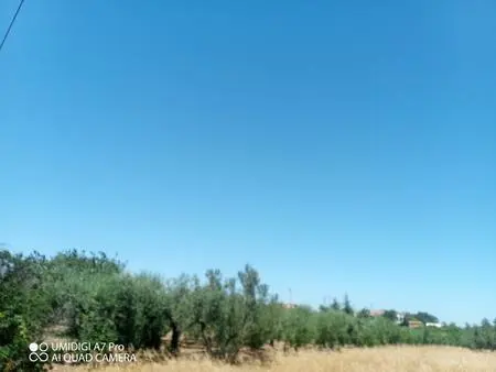 Immagine per Industriale in vendita a Lanciano via Cuna Re Di Coppe