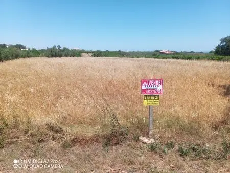Immagine per Industriale in vendita a Lanciano via Cuna Re Di Coppe