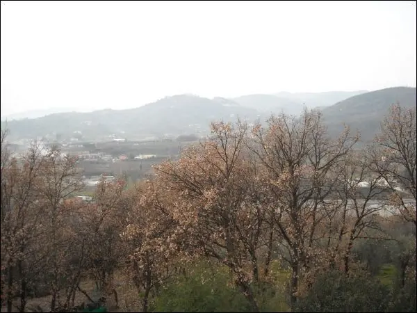 Villa Trifamiliare via Gobbi 119, Monsummano Terme