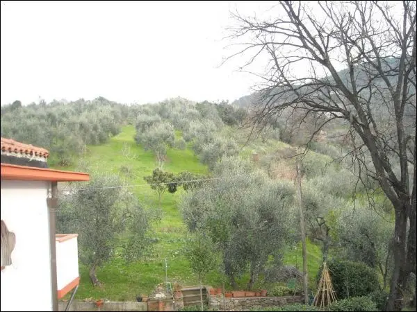 Villa Trifamiliare via Gobbi 119, Monsummano Terme