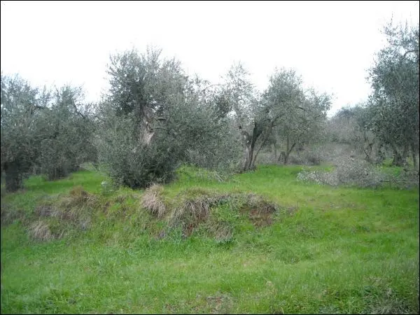 Villa Trifamiliare via Gobbi 119, Monsummano Terme