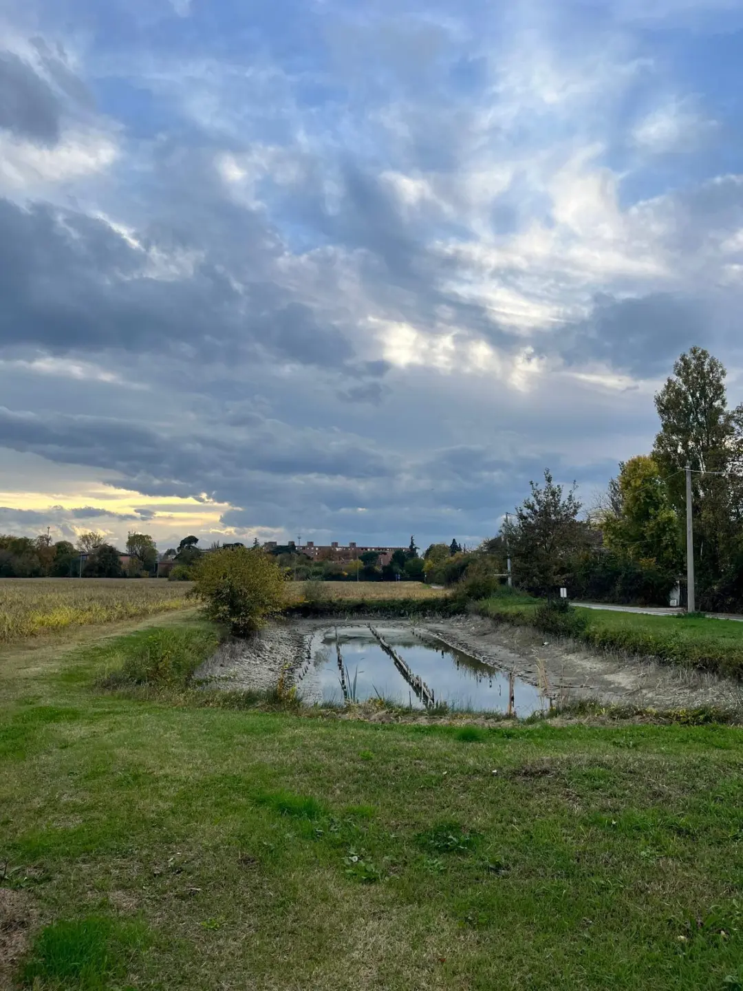 Immagine per Terreno in vendita a Bologna via Di Roveretolo 9