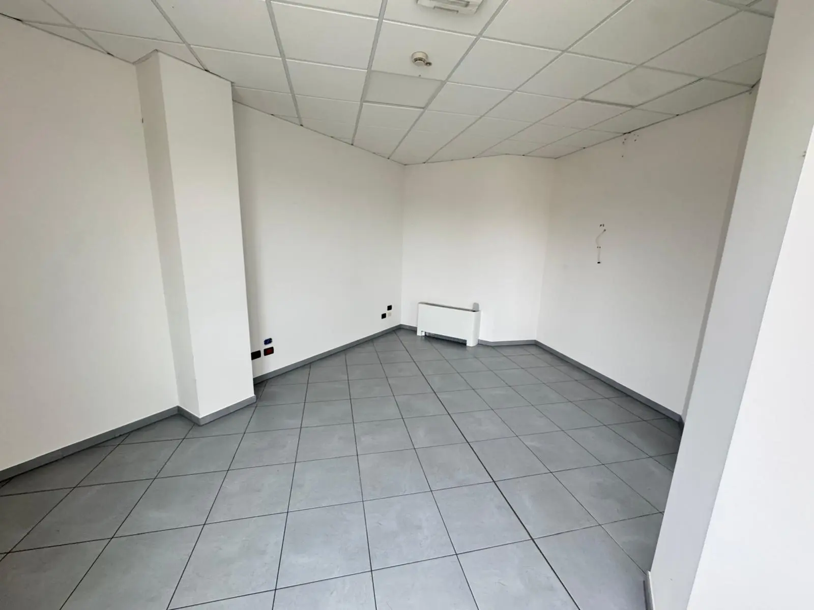 Immagine per Area verde in vendita a Zola Predosa via Risorgimento 440