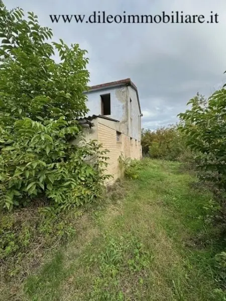 Casale via Contrada Case Rosse, Ripatransone