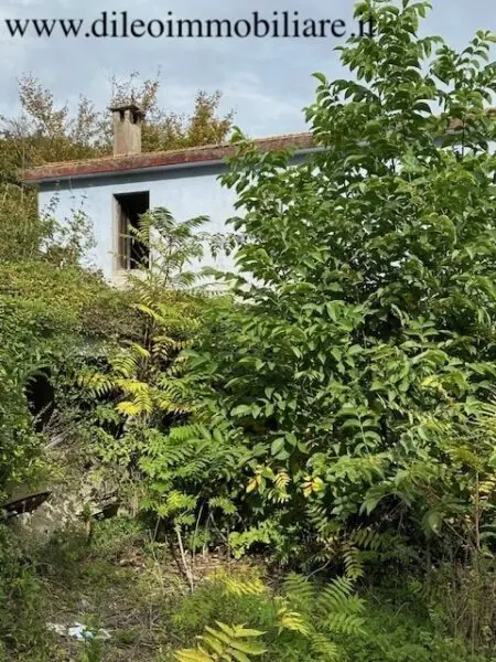 Casale via Contrada Case Rosse, Ripatransone