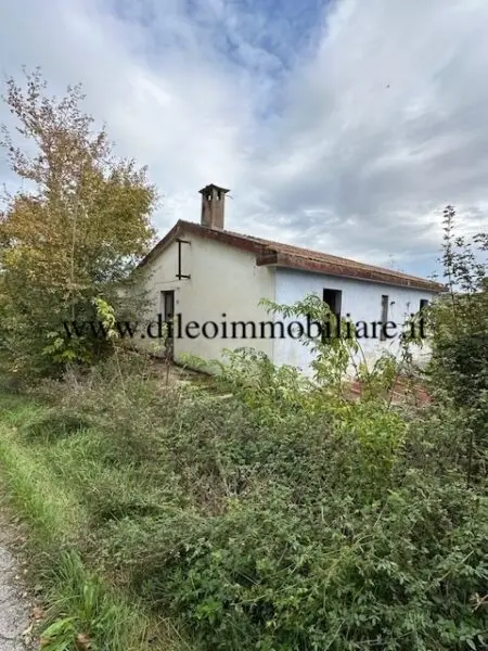 Casale via Contrada Case Rosse, Ripatransone