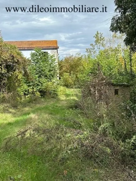 Casale via Contrada Case Rosse, Ripatransone