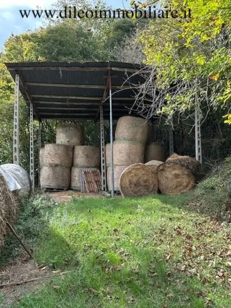 Casale via Contrada Case Rosse, Ripatransone