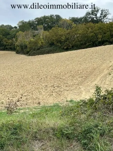 Casale via Contrada Case Rosse, Ripatransone