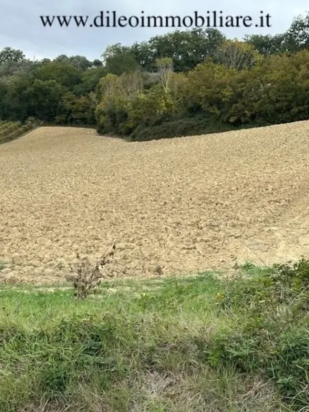 Casale via Contrada Case Rosse, Ripatransone