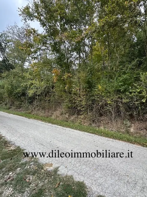Immagine per Casale in vendita a Ripatransone via Contrada Case Rosse