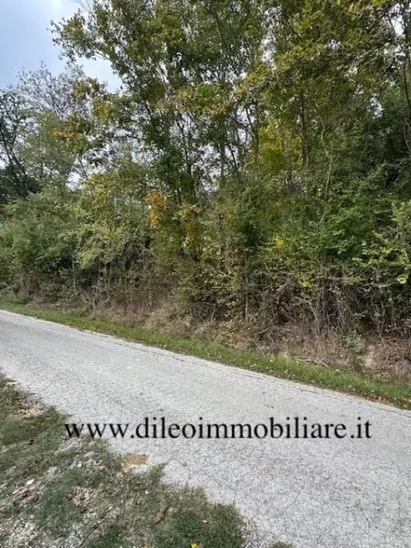 Casale via Contrada Case Rosse, Ripatransone