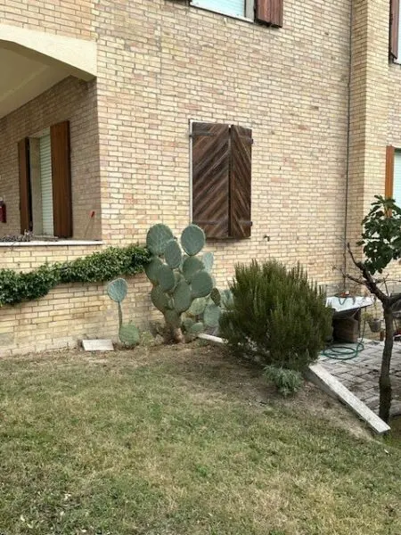 Villa Bifamiliare via Contrada Corneto 49, Carassai
