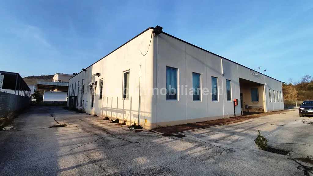 Immagine per Industriale in vendita a Ascoli Piceno via Del Commercio