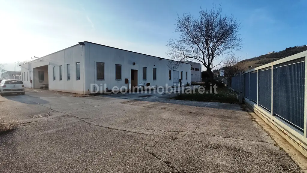 Immagine per Industriale in vendita a Ascoli Piceno via Del Commercio