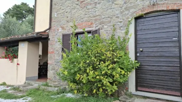 Casale via Casa Nuova, Pescia