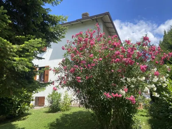 Villa Bifamiliare via Perugino 12, Castelfranco Emilia
