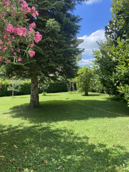 Villa Bifamiliare via Perugino 12, Castelfranco Emilia