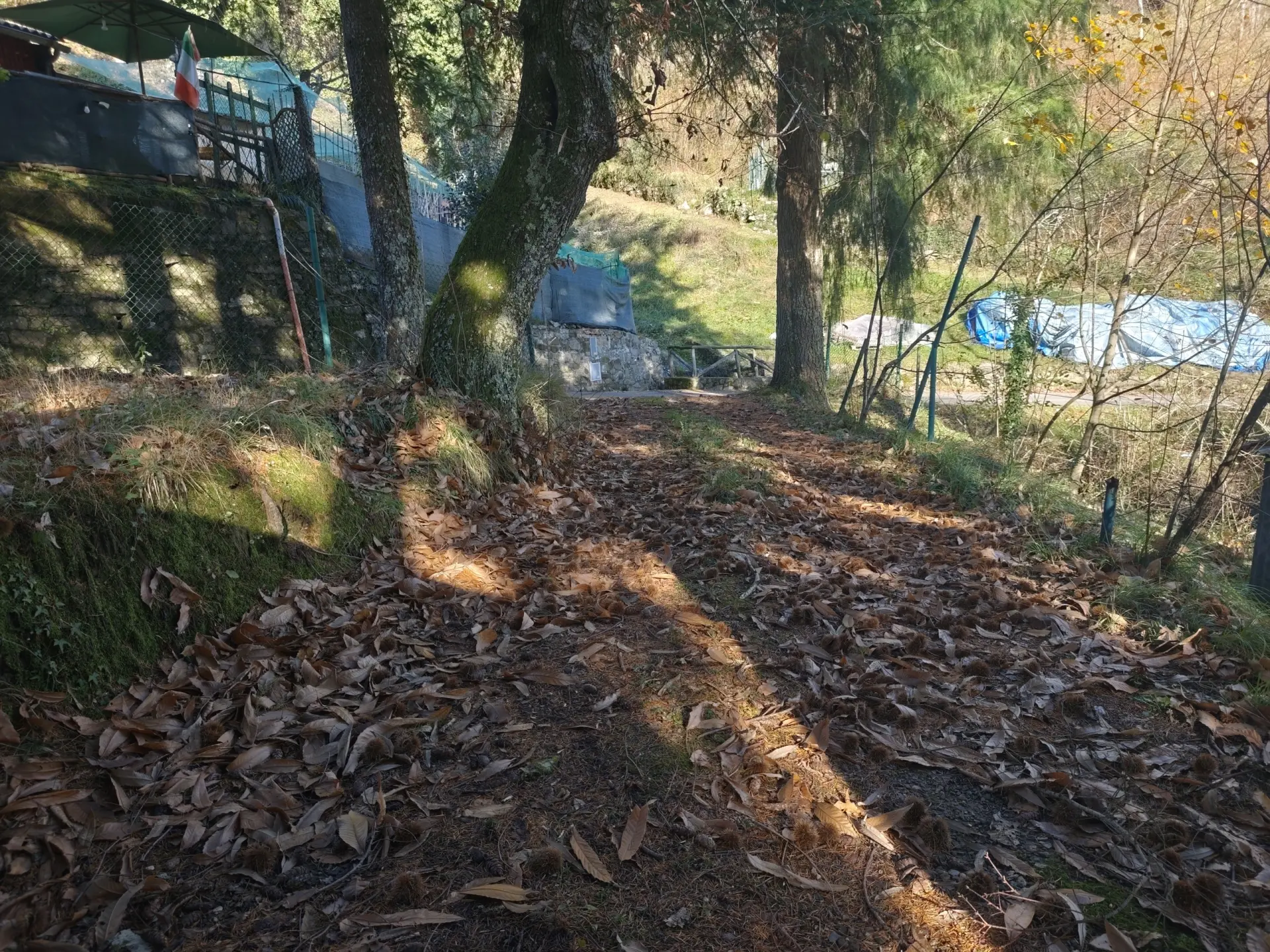 Immagine per Terratetto in vendita a Lucca via Località Grabbia 1