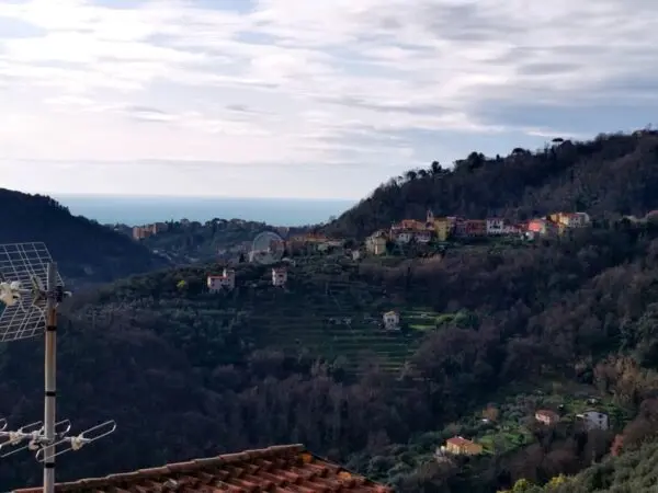 Terratetto via Vicolo Scolastico, Arcola