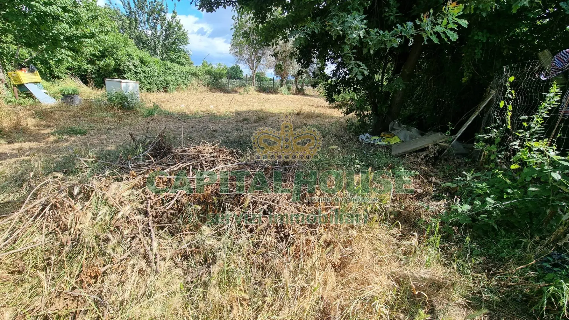 Immagine per Terreno Agricolo in vendita a San Marco Evangelista  