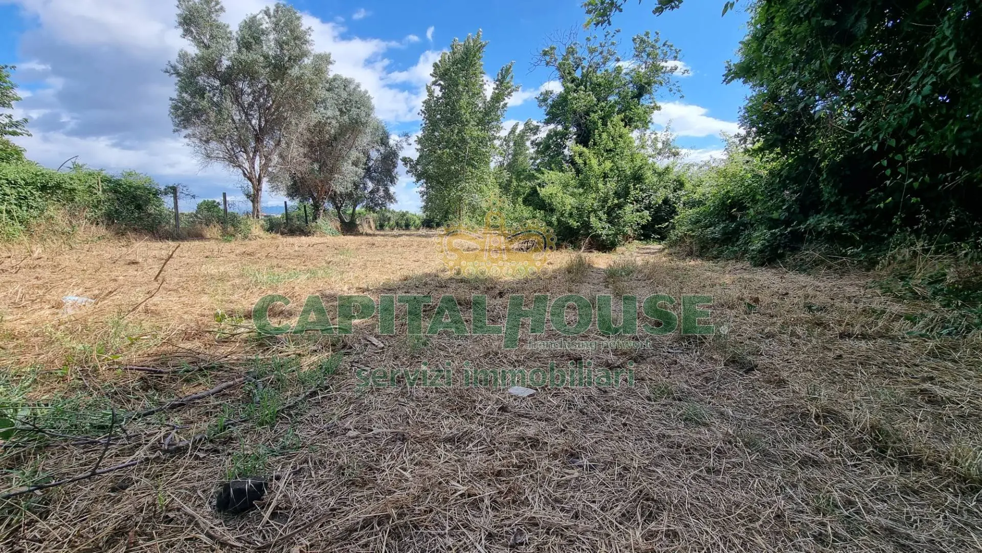 Immagine per Terreno Agricolo in vendita a San Marco Evangelista  